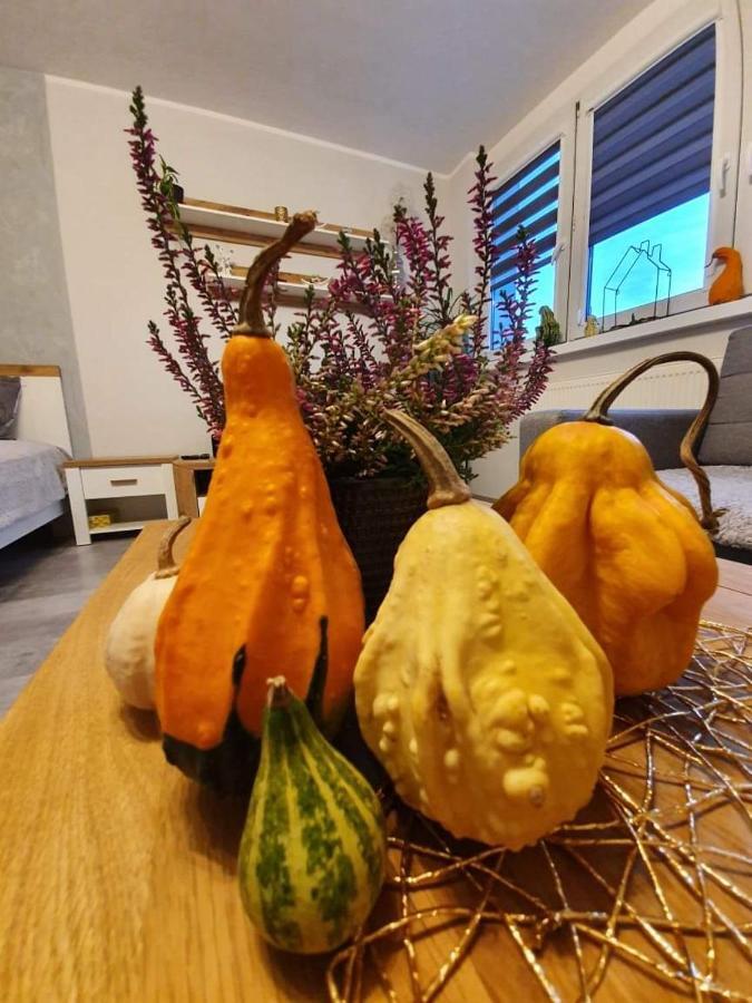 Apartament 27 Płock Eksteriør billede